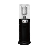 Incalzitor terasa 11Kw